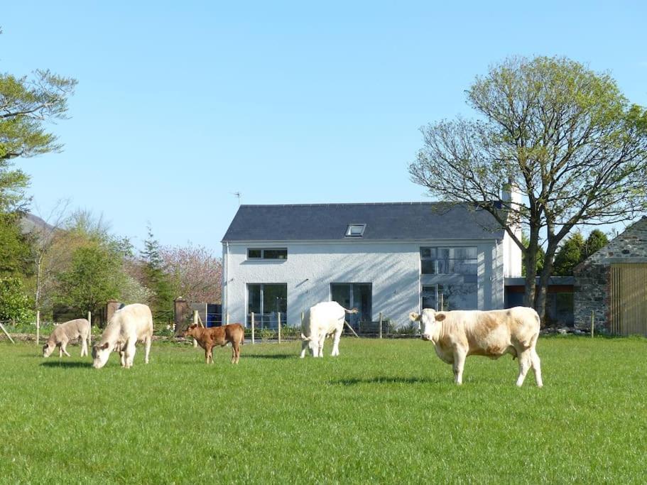 Ardmore Barn Lane @ Drumagosker Rural Retreats מראה חיצוני תמונה